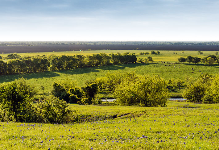 Rolling Hills