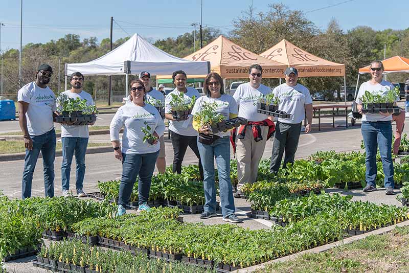 photo of FCBT employees volunteering at Spread the Harvest event