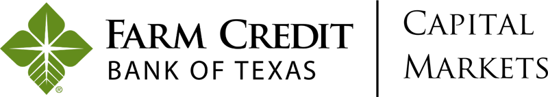 logo for Capital Markets