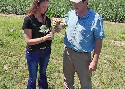 photo of soybean farmers